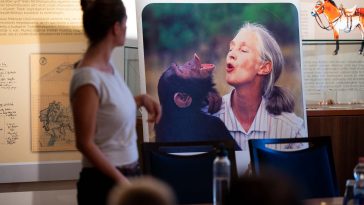 A Jane Googdal Intézet is bemutatkozott Szarvason a Múzeumok őszi fesztiválján