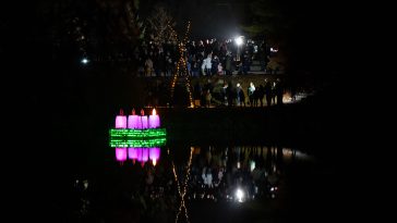 Sokkal látványosabb lett a vízi koszorú Békésszentandráson