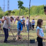 Babafaültetés Békésszentandráson 2023. szeptember 23-án.
