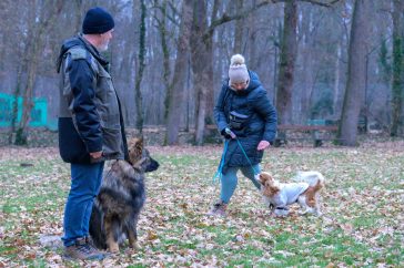 Felkészülés a sétára egy január közepi kutyás tréningen az Erzsébet-ligetben.