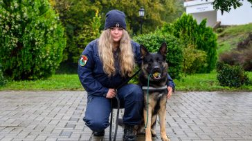 Korbely Dominika rendőr őrmester és Cody, a Szarvasi Rendőrkapitányság kötelékében 2024 júliusa óta szolgáló német juhászkutya.