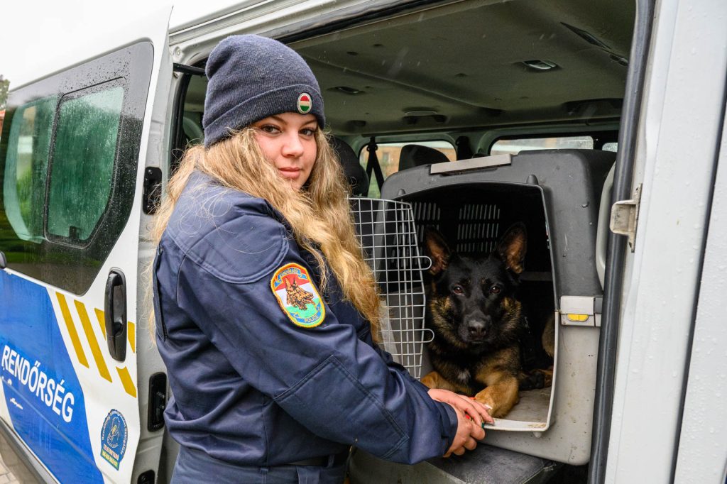 Korbely Dominika rendőr őrmester és Cody, a Szarvasi Rendőrkapitányság kötelékében 2024 júliusa óta szolgáló német juhászkutya.