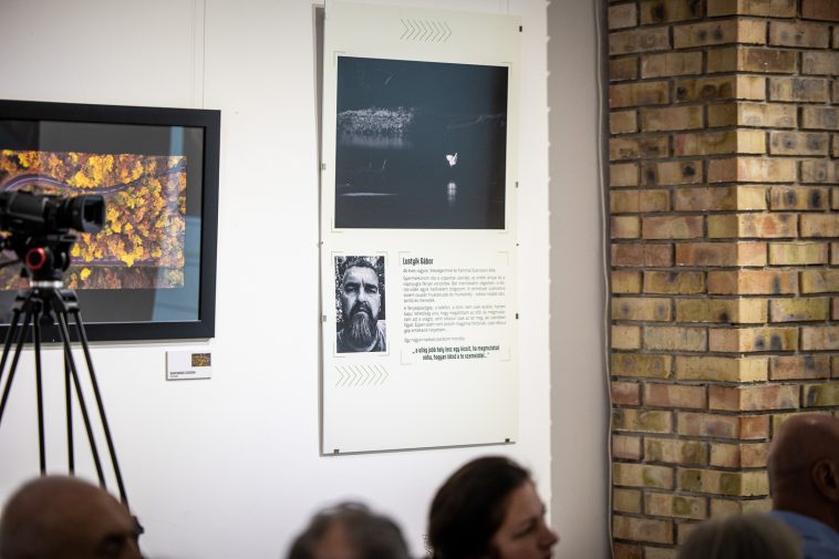 Lustyik Gábor a Békés vármegye természetfotója 2024 pályázaton második helyezést érő képe a Munkácsy Mihály Múzeumban.