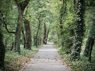 A kerékpárút Erzsébet-ligeti szakasza.