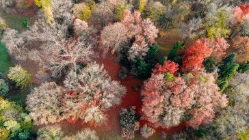 A Szarvasi Arborétum ősszel.