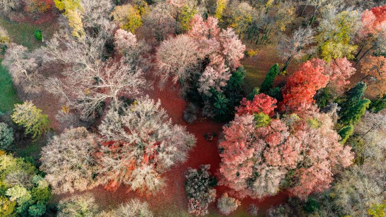 A Szarvasi Arborétum ősszel.