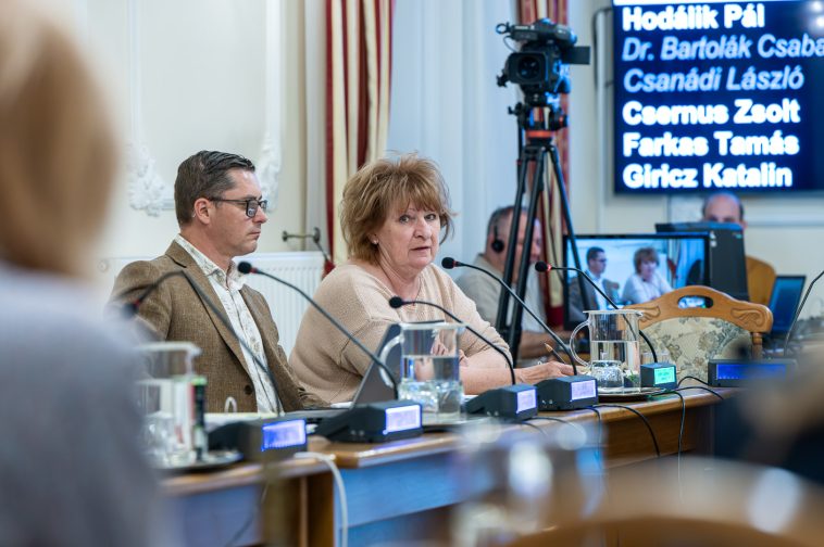 Jambrik Ramola pénzügyi osztályvezető a 2026. március 26-i testületi ülésen.