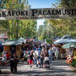 Lezajlott az első Kákafoki Pacalmustra.