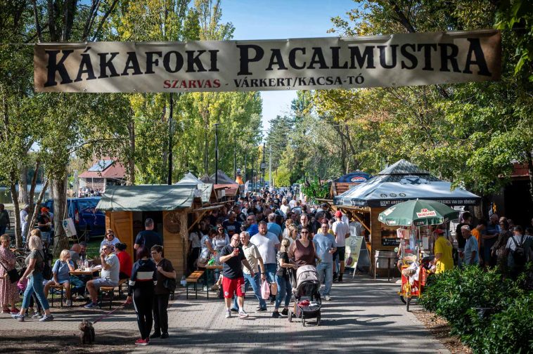 Lezajlott az első Kákafoki Pacalmustra.